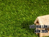 Tuổi 1956 Làm Nhà Năm 2026 Có Tốt Không? 